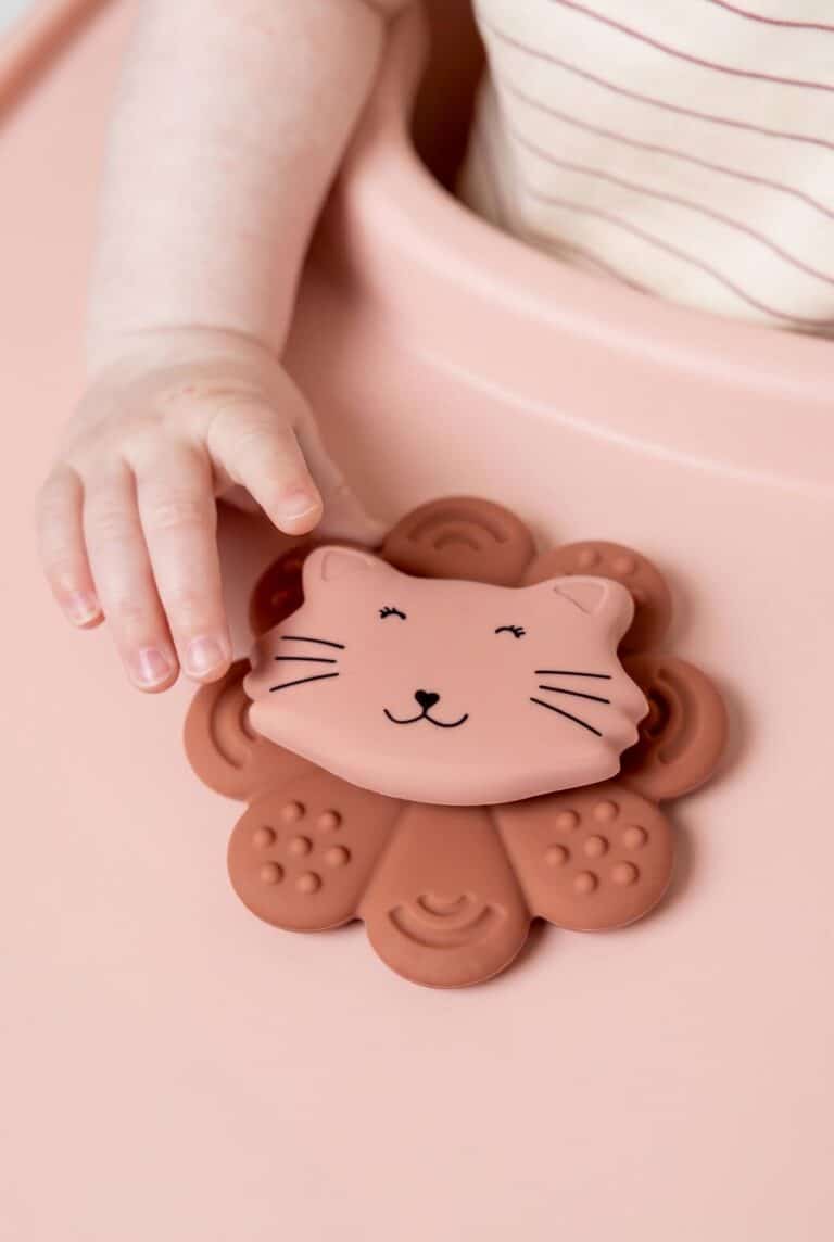 Jouet spinner và ventouse en silicone mrs cat Trixie ambiance